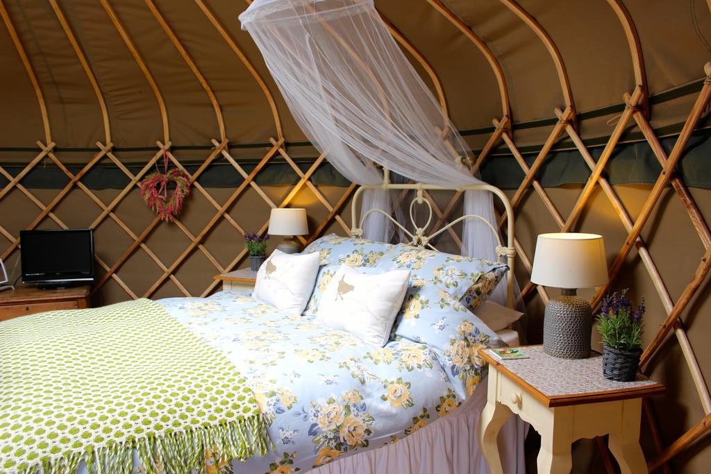 لانغولين Sunbank Accommodation المظهر الخارجي الصورة